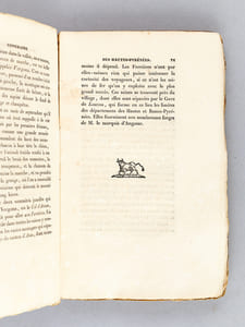Itinéraire topographique ou historique des Hautes-Pyrénées, servant de guide aux établissements thermaux de Cauteretz, Saint-Sauveur, Barèges, Bagnères, Capvern et Cadéac, ainsi qu'aux Eaux-chaudes, Eaux-Bonnes et de Bagnères-de-Luchon avec l'analyse de ces sources et un précis de leurs propriétés, accompagné d'une carte géographique par A. A***
