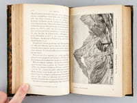 Les Pyrénées. Les montagnes, les glaciers, les eaux minérales, les phénomènes de l'atmosphère, la flore, la faune et l'homme [ Edition originale ]