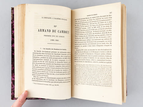 Revue de Bretagne et de Vendée. Année 1874 (2 Tomes, Tomes 35 et 36 - Complet) [ Edition originale ] Dix-Huitième Année Quatrième Série. Tomes V et VI ...