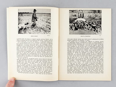 Mieux Vivre. Revue Mensuelle. Direction artistique de Georges Besson. 31 Numéros (1936-1939) Manger - Rire - Boire - Partir - Le Bain - Chasser - Danser - Jardins - L'Auto - Peindre - Le Chien - Le Camping - Les Fleurs - La Ferme - Chez Soi - Les Cartes - Le Cinéma - Lire - Le Village - La Photographie - La Voile - Dormir - Ecrire - Le Lait - Le Music-Hall - Sculpter - La Marche - Les Boules - Le Poisson - Le Pain - Les Fruits Hors Série