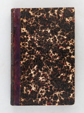Histoire de Touraine, depuis la Conquête des Gaules par les Romains, jusqu'à l'année 1790 (4 Tomes - Complet) suivie du Dictionnaire biographique de ...