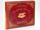 Les Animaux Sauvages [ Edition originale ]. PAPE-CARPANTIER, Mme