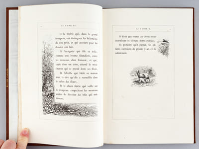 Le Livre de mes Petits-Enfants [ Edition originale ]