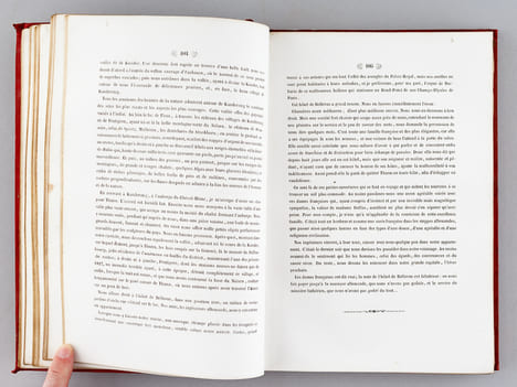 Alpes et Pyrénées. Descriptions et curiosités de la Suisse, de la Savoie, de la Navarre, du Béarn, du Bigorre et du Comminges. Ascensions de ...