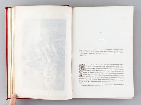 Alpes et Pyrénées. Descriptions et curiosités de la Suisse, de la Savoie, de la Navarre, du Béarn, du Bigorre et du Comminges. Ascensions de ...