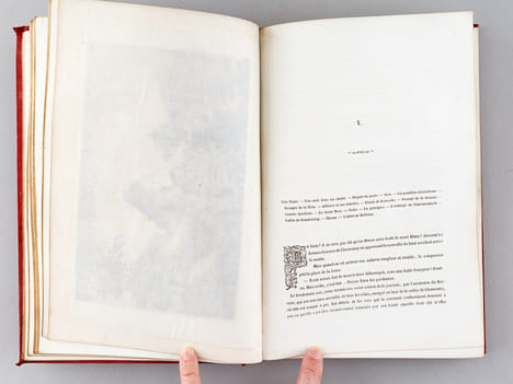 Alpes et Pyrénées. Descriptions et curiosités de la Suisse, de la Savoie, de la Navarre, du Béarn, du Bigorre et du Comminges. Ascensions de ...
