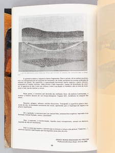 Arte Hoje. O Processo em Goias Visto por Dentro