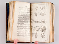 Flore des Jeunes Personnes, ou Lettres Elémentaires sur la Botanique, écrites par une Anglaise à son Amie