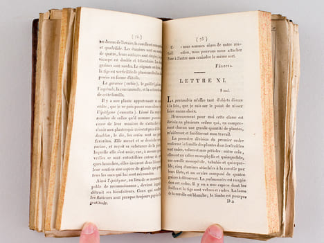 Flore des Jeunes Personnes, ou Lettres Elémentaires sur la Botanique, écrites par une Anglaise à son Amie. Une Anglaise ; SEGUR, Octave (Trad.) ; [ ...