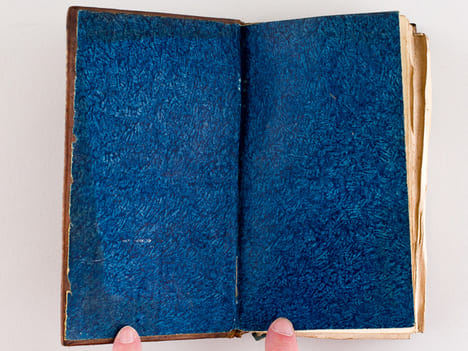 Flore des Jeunes Personnes, ou Lettres Elémentaires sur la Botanique, écrites par une Anglaise à son Amie. Une Anglaise ; SEGUR, Octave (Trad.) ; [ ...