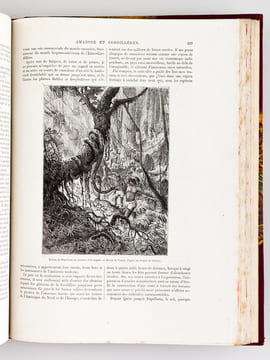Le Tour du Monde. Nouveau Journal des Voyages [ Année 1883 Complète - Exemplaire sur Papier de Chine ] [ Contient notamment : ] La Perse, la Chaldée ...