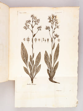 Voyages de M. P. S. Pallas, en différentes Provinces de l'Empire de Russie, et dans l'Asie Septentrionale (5 Tomes et Atlas - Complet) [ Edition ...