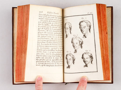Histoire Naturelle, Générale et Particulière (13 Tomes - Complet). BUFFON, M. de