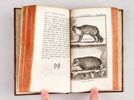 Histoire Naturelle, Générale et Particulière (13 Tomes - Complet). BUFFON, M. de