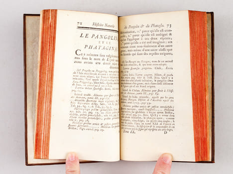 Histoire Naturelle, Générale et Particulière (13 Tomes - Complet). BUFFON, M. de