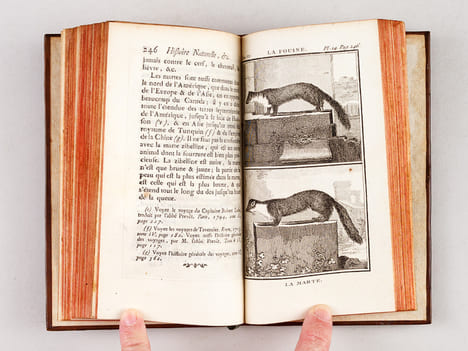 Histoire Naturelle, Générale et Particulière (13 Tomes - Complet). BUFFON, M. de