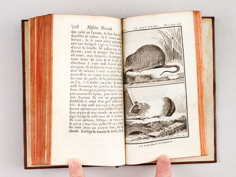 Histoire Naturelle, Générale et Particulière (13 Tomes - Complet). BUFFON, M. de
