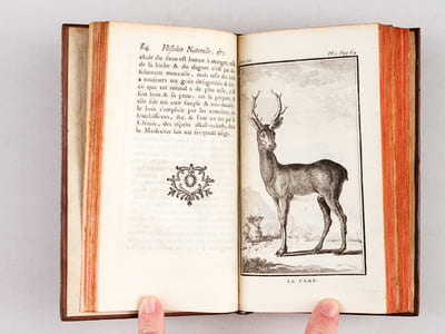 Histoire Naturelle, Générale et Particulière (13 Tomes - Complet)