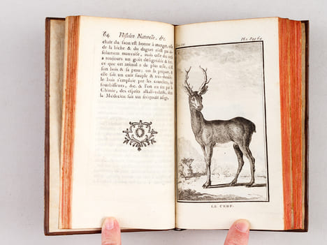 Histoire Naturelle, Générale et Particulière (13 Tomes - Complet). BUFFON, M. de