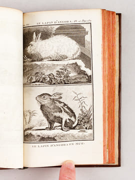 Histoire Naturelle, Générale et Particulière (13 Tomes - Complet). BUFFON, M. de