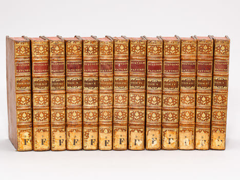 Histoire Naturelle, Générale et Particulière (13 Tomes - Complet). BUFFON, M. de