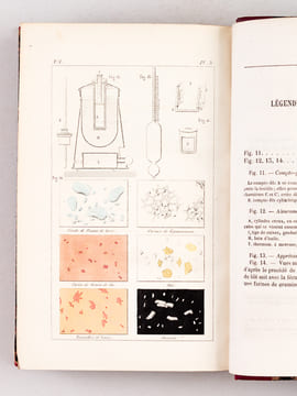 Dictionnaire des Altérations et Falsifications des Substances alimentaires, médicamenteuses et commerciales avec l'indication des moyens de les ...