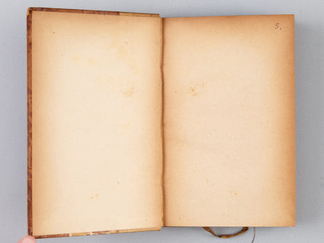 Les Romanciers naturalistes. Balzac - Stendhal - Gustave Flaubert - Edmond et Jules de Goncourt - Alphonse Daudet. Les romanciers contemporains [ ...