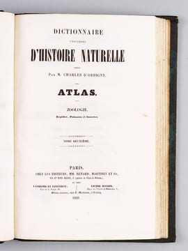 Dictionnaire Universel d'Histoire Naturelle [ Spécimen de l'édition originale de l'Atlas ]. D'ORBIGNY, Charles
