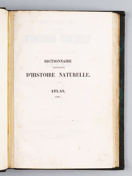Dictionnaire Universel d'Histoire Naturelle [ Spécimen de l'édition originale de l'Atlas ]. D'ORBIGNY, Charles