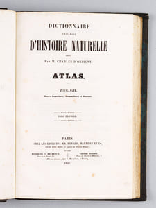 Dictionnaire Universel d'Histoire Naturelle [ Spécimen de l'édition originale de l'Atlas ]