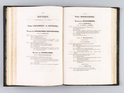 Dictionnaire Universel d'Histoire Naturelle [ Spécimen de l'édition originale de l'Atlas ]