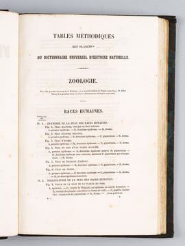 Dictionnaire Universel d'Histoire Naturelle [ Spécimen de l'édition originale de l'Atlas ]. D'ORBIGNY, Charles