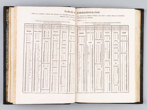 Dictionnaire Universel d'Histoire Naturelle [ Spécimen de l'édition originale de l'Atlas ]. D'ORBIGNY, Charles