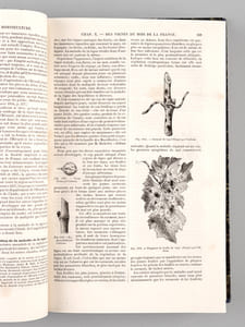 Le Livre de la Ferme et des Maisons de Campagne. Tome II : Arboriculture - Viticulture - Horticulture - Sylviculture - Connaissances utiles
