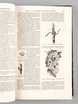 Le Livre de la Ferme et des Maisons de Campagne. Tome II : Arboriculture - Viticulture - Horticulture - Sylviculture - Connaissances utiles. ...