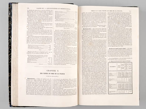 Le Livre de la Ferme et des Maisons de Campagne. Tome II : Arboriculture - Viticulture - Horticulture - Sylviculture - Connaissances utiles. ...