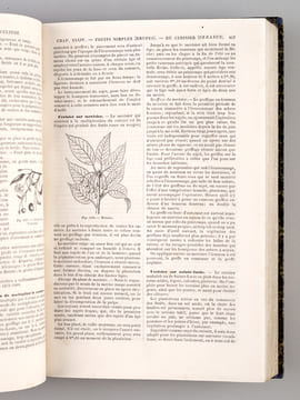 Le Livre de la Ferme et des Maisons de Campagne. Tome II : Arboriculture - Viticulture - Horticulture - Sylviculture - Connaissances utiles. ...