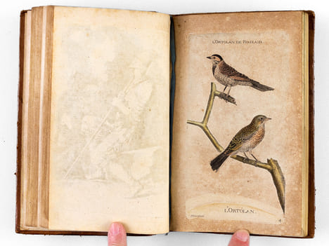 [ Recueil de planches : ]  Salvator Rosa Invenit (Liber Primus, Secundus, Tertius, Quartus) [ Relié avec : ] [ Recueil de 38 planches en couleurs : ...