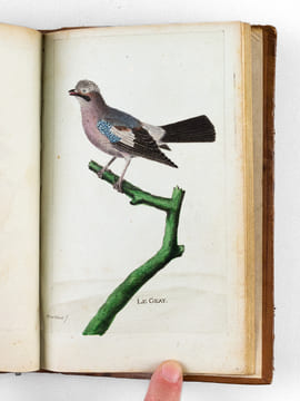 [ Recueil de planches : ]  Salvator Rosa Invenit (Liber Primus, Secundus, Tertius, Quartus) [ Relié avec : ] [ Recueil de 38 planches en couleurs : ...