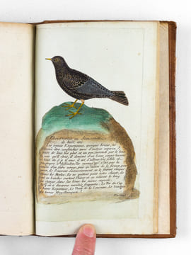 [ Recueil de planches : ]  Salvator Rosa Invenit (Liber Primus, Secundus, Tertius, Quartus) [ Relié avec : ] [ Recueil de 38 planches en couleurs : ...