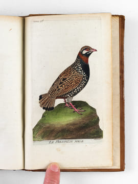 [ Recueil de planches : ]  Salvator Rosa Invenit (Liber Primus, Secundus, Tertius, Quartus) [ Relié avec : ] [ Recueil de 38 planches en couleurs : ...