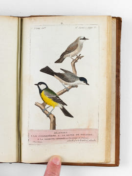 [ Recueil de planches : ]  Salvator Rosa Invenit (Liber Primus, Secundus, Tertius, Quartus) [ Relié avec : ] [ Recueil de 38 planches en couleurs : ...