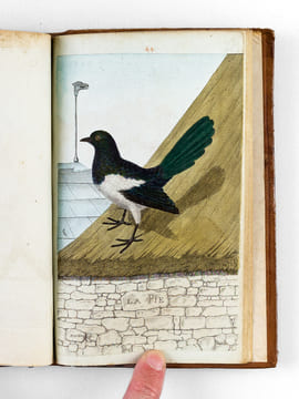 [ Recueil de planches : ]  Salvator Rosa Invenit (Liber Primus, Secundus, Tertius, Quartus) [ Relié avec : ] [ Recueil de 38 planches en couleurs : ...