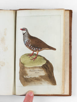 [ Recueil de planches : ]  Salvator Rosa Invenit (Liber Primus, Secundus, Tertius, Quartus) [ Relié avec : ] [ Recueil de 38 planches en couleurs : ...