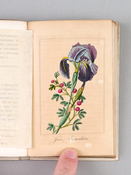 Guirlande de Flore. MALO, Charles