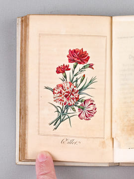 Guirlande de Flore. MALO, Charles