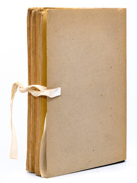 Médicis. Revue Littéraire (Lot des 11 premiers numéros, du N°1 d'octobre 1920 au n°11 de décembre 1921) [ Revue Medicis ]. Collectif ; DEAUVILLE, Max ...