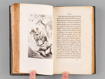 La Luciade ou l'Ane de Lucius de Patras.