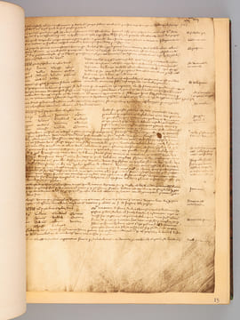 L'Histoire de Jeanne d'Arc d'après les documents originaux et les oeuvres d'art du XVe au XIXe siècles [ Edition originale ] Cent fac-similés de ...
