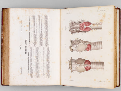 Atlas d'Anatomie descriptive du Corps Humain. Quatrième Partie : Appareil génito-urinaire, organes de la respiration.. BONAMY, C. ; BROCA, Paul ; ...